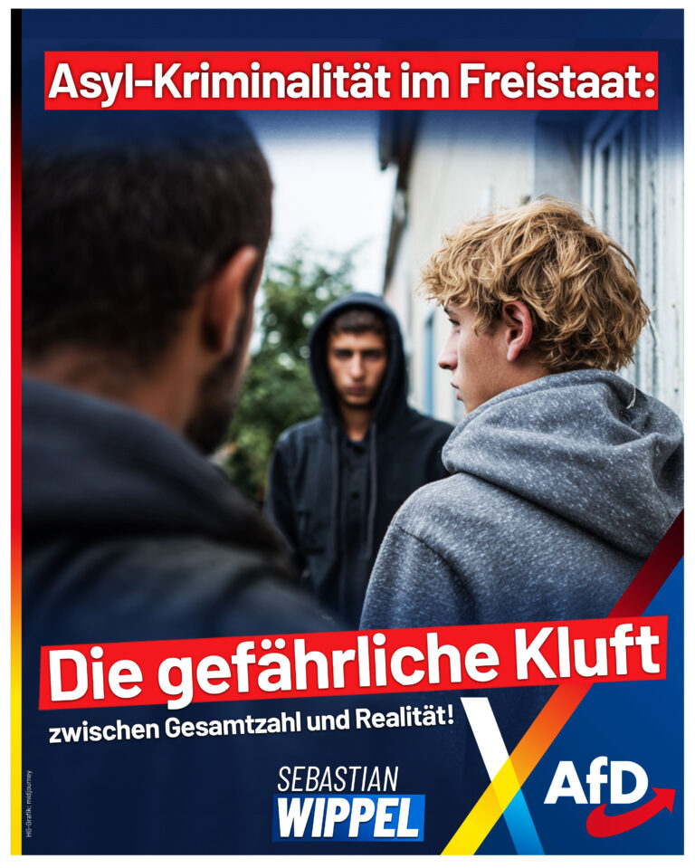Asyl_Kriminaliteat
